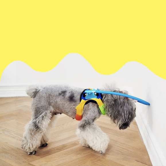 NEW Dog anti-collision collar XXS - Picture 1 of 7